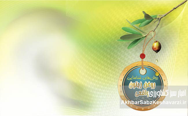 روش‌های-شناسایی-روغن-زیتون-واقعی-2