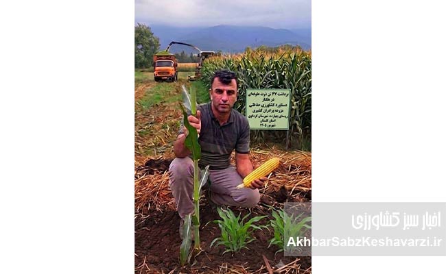 کشاورزی-بی‌خاک‌ورزی-در-بقایای-کلزا5