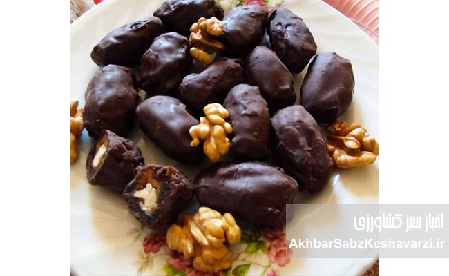 بانوی-کارآفرین-کازرونی-حمایت‌های-دولتی-ناکافی-است2