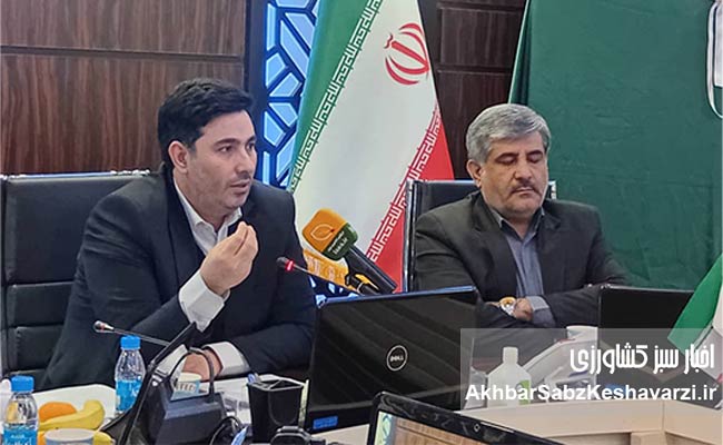 رونمایی-از-طرح-«بیمه-فراگیر-تمام‌خطر»-گندم-در-سال-۱۴۰۴–۱۴۰۵
