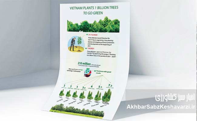 کاشت-درخت-ویتنام-2