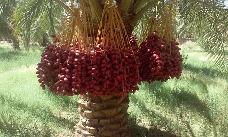 photo27908869163