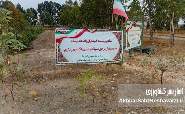 پرورش-میگو-در-استان-مازندران3