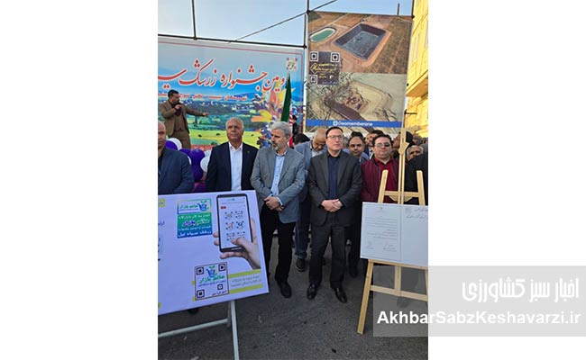 روستای-تیل؛-نگین-درخشان-کشاورزی-ایران-و-میزبان-جشنواره-ملی-زرشک-سیاه-3