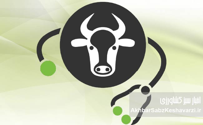 بی‌توجهی-به-اشتها-و-غذاخوردن-دام؛-عامل-پنهان-افت-تولید-شیر1