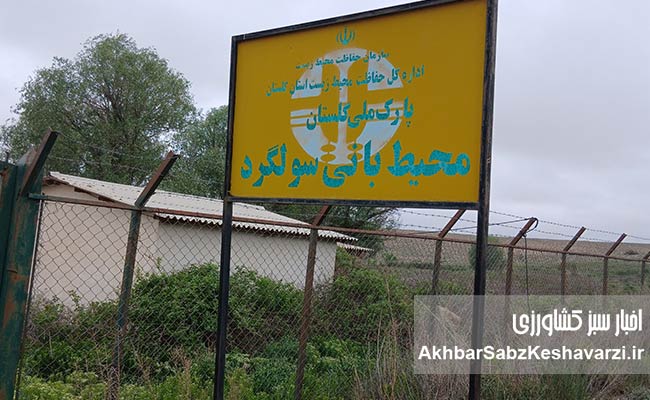 پشت-صحنه-حفاظت-از-پارک-ملی-گلستان؛-محیط‌بانان،-مرزداران-خاموش-ایران
