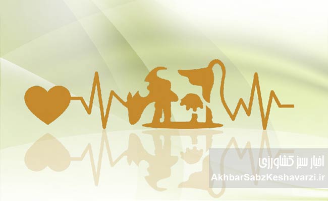 بی‌توجهی-به-اشتها-و-غذاخوردن-دام؛-عامل-پنهان-افت-تولید-شیر3