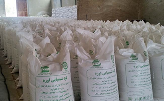 واردات-گندم-4