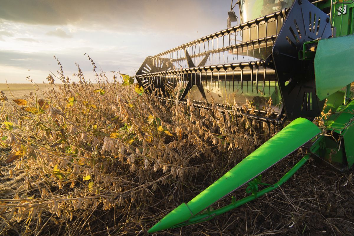 Brazil soybean harvest behind last year's pace | 2021-02-19 | World Grain