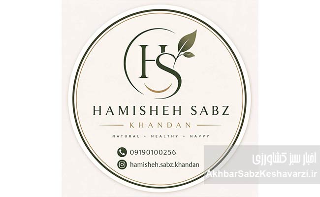 همیشه-سبز-خندان3