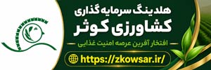 هلدینگ سرمایه گذاری کوثر 