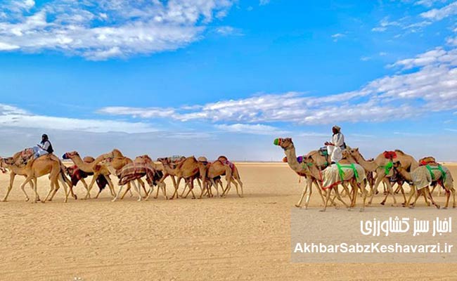 تفاوت-فاحش-با-پیشتازی-عربستان-و-ترکیه-در-صنعت-توریسم.jpg-2