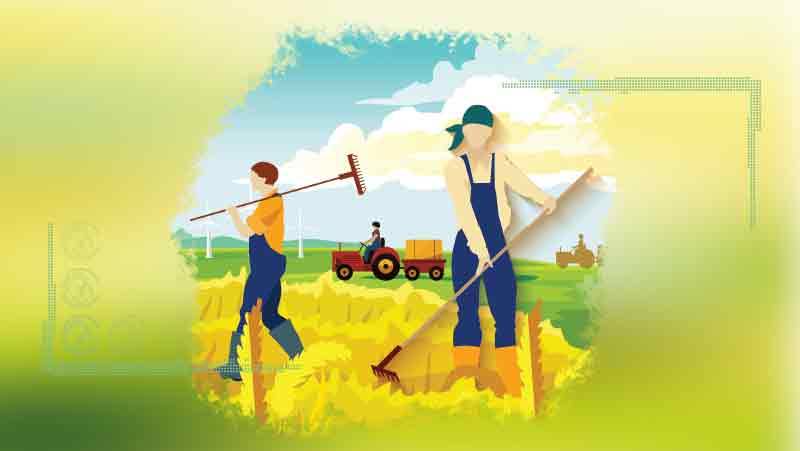 کشاورزی قراردادی