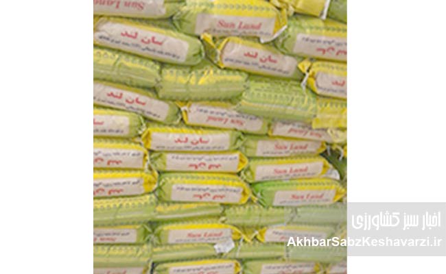 فساد---برنج-۱۱۲۱-