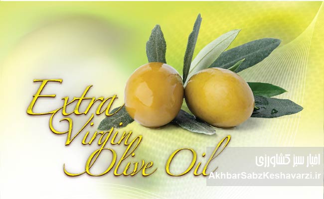 روش‌های-شناسایی-روغن-زیتون-واقعی-5