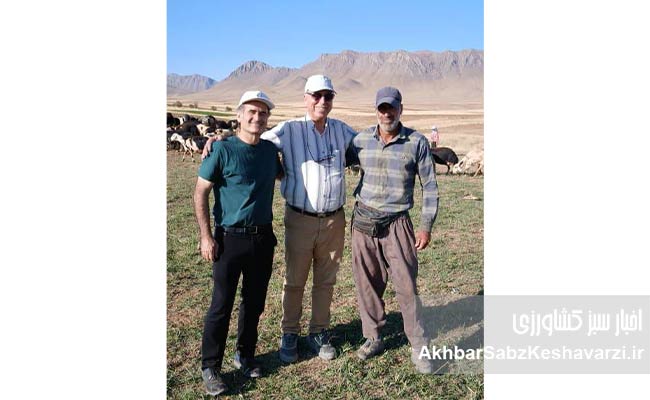 چهارچشمه-خمین؛-روستایی-با-ظرفیت‌های-کشاورزی،-دامداری-4