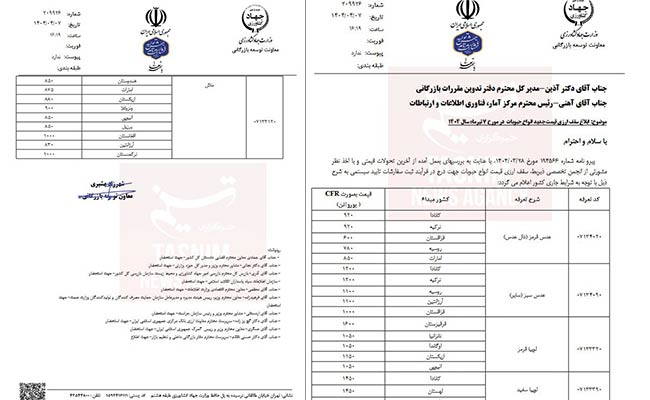 فاجعه-گرانی-لوبیا1
