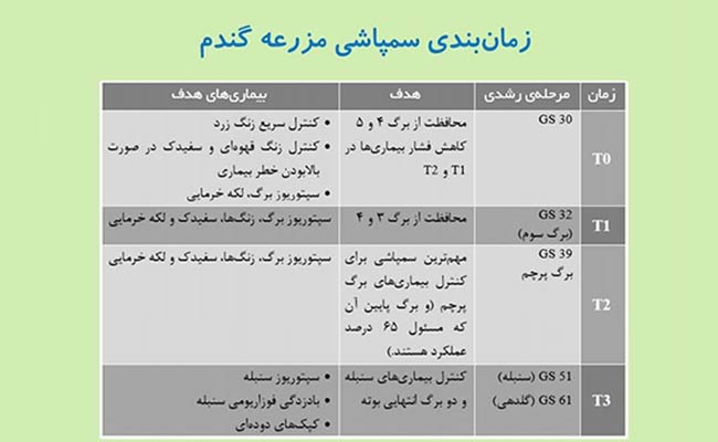 سم‌پاشی-گندم-و-اهمیت-آن--1