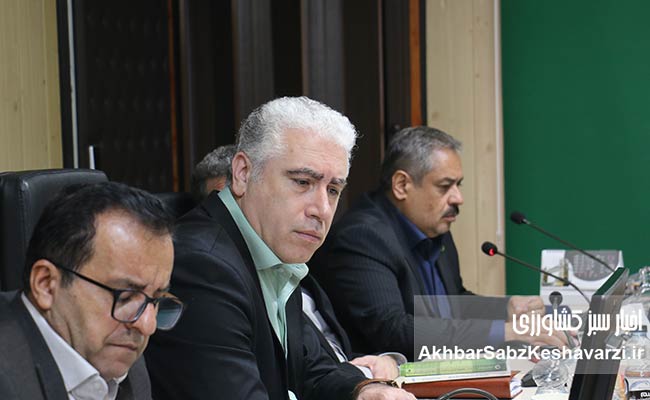 ثنایی،-مدیرکل-دفتر-ساماندهی-و-تعیین-تکلیف-اراضی