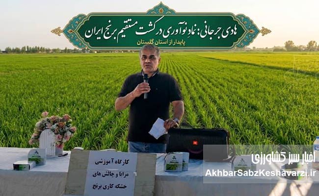 برنج؛-گیاهی-آبدوست،-نه-آبزی2