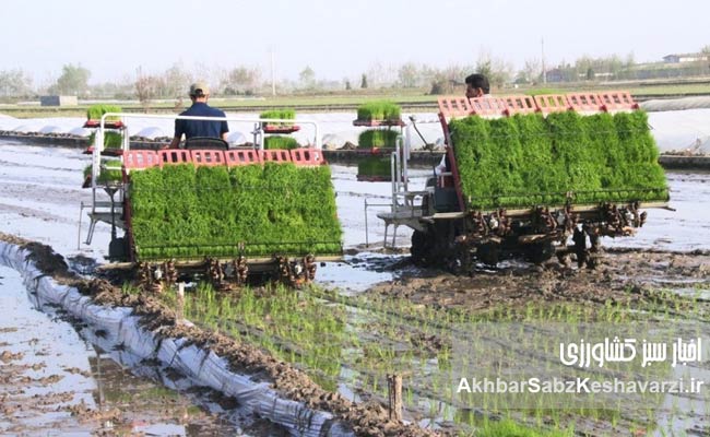کشاورزی-قراردادی-پیشران-تجدید-ساختار-تولید-کشاورزی.jpg-1.jpg-2
