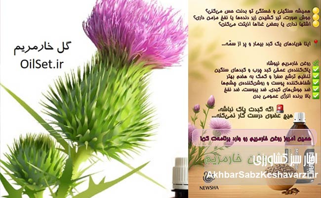 روغن-خار-مریم.jpg-1