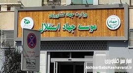 پایان یک دوران پرابهام؛ آغاز موج مطالبه‌گری برای شفافیت در موسسه جهاد استقلال