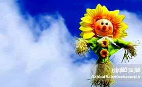 شادی در روزهای سخت؛ ۵ مهارت علمی برای فرار از مثبت‌اندیشی سمی

