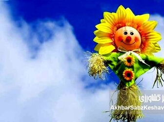 شادی در روزهای سخت؛ ۵ مهارت علمی برای فرار از مثبت‌اندیشی سمی

