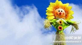 شادی در روزهای سخت؛ ۵ مهارت علمی برای فرار از مثبت‌اندیشی سمی

