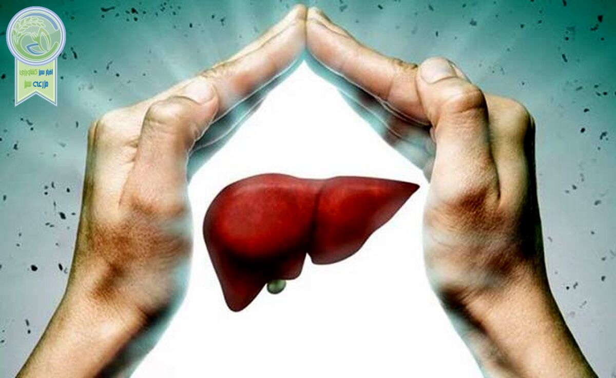 راه‌هایی طلایی برای رهایی از کبد چرب

