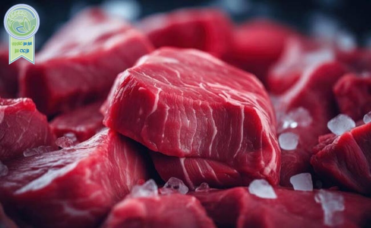 قیمت روز گوشت قرمز در ۲۴ آذر ۱۴۰۳+ جدول

