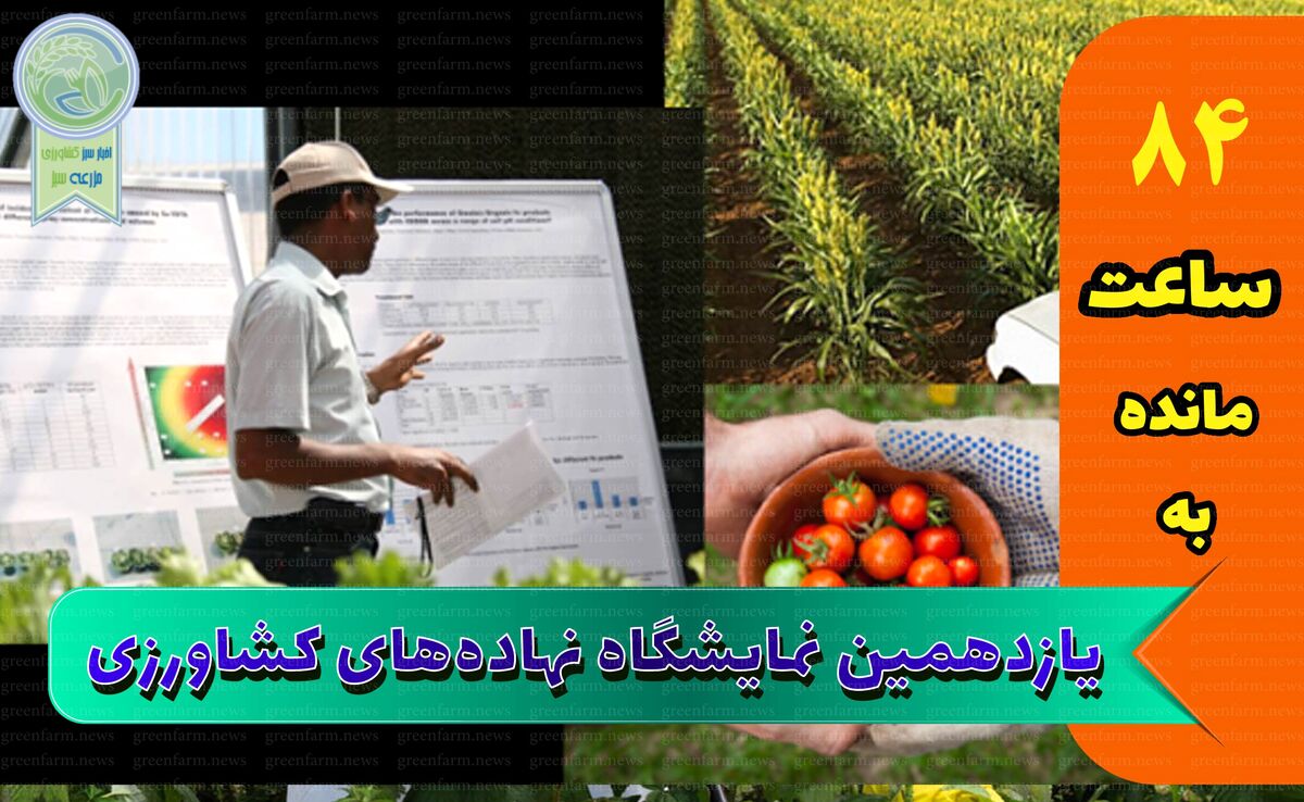 افتراق میان تولیدکننده و واردکننده، مانع جامعیت

