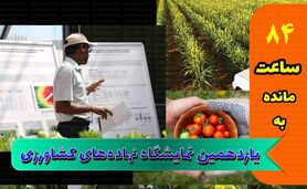 افتراق میان تولیدکننده و واردکننده، مانع جامعیت

