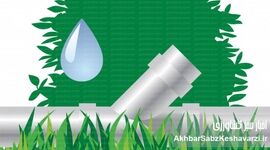 مدیریت مصرف آب در کشت تابستانه