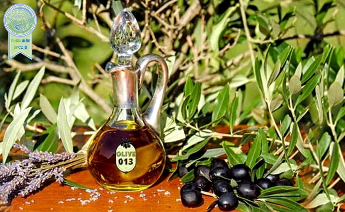 تلاش برای برندسازی روغن زیتون

