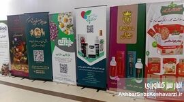 نمایشگاه گیاهان دارویی تهران؛ نمایشگاهی با طعم سلامتی+عکس

