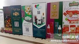 نمایشگاه گیاهان دارویی تهران؛ نمایشگاهی با طعم سلامتی+عکس

