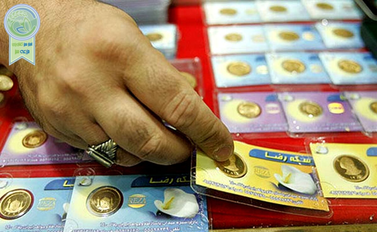 قیمت سکه و طلا امروز دوشنبه ۵ آذر ۱۴۰۳+ جدول

