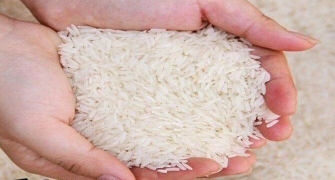 تقاضای ایران برای برنج باسماتی هند پابرجاست؛ اما تجارت در تنگنای تحریم و لجستیک