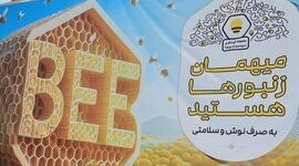 «سرزمین زنبورها» مجموعه‌ای با اهداف ملی

