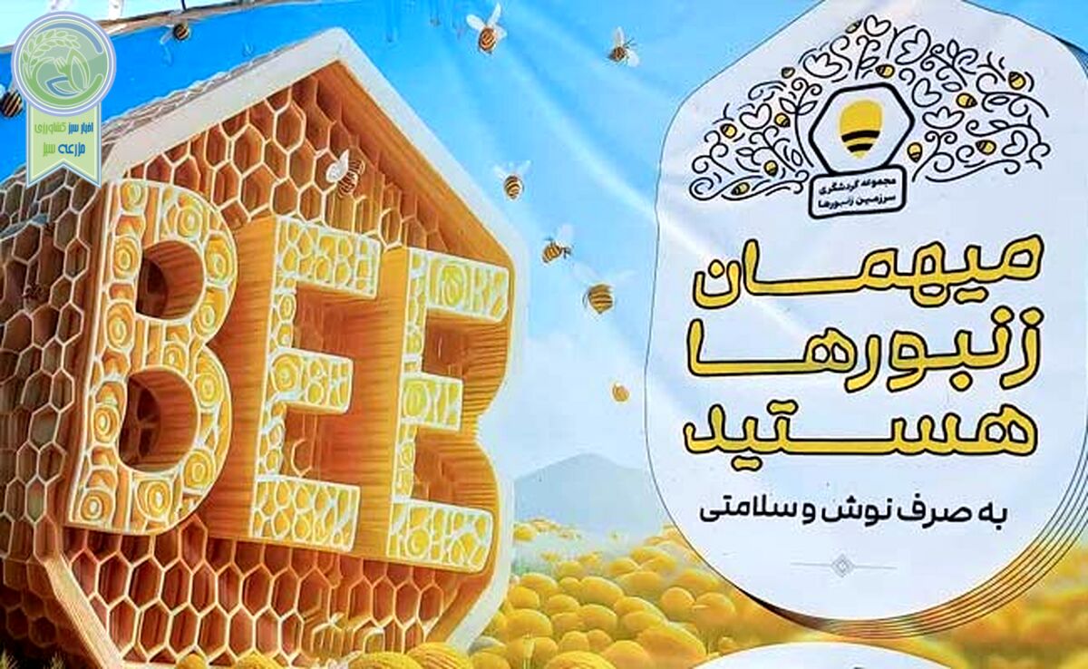 «سرزمین زنبورها» مجموعه‌ای با اهداف ملی

