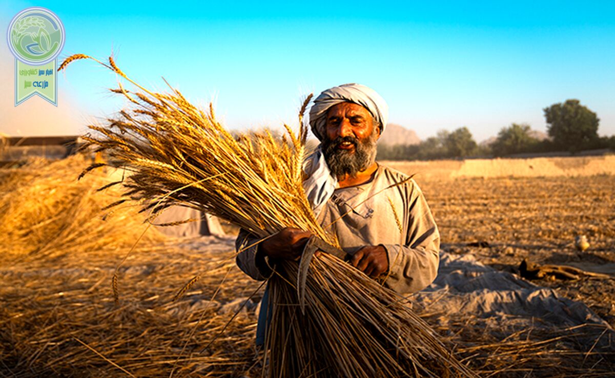 ابتکار عمل ۱۰ میلیون پوندی فائو و بریتانیا