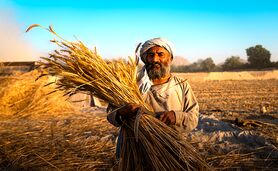 ابتکار عمل ۱۰ میلیون پوندی فائو و بریتانیا