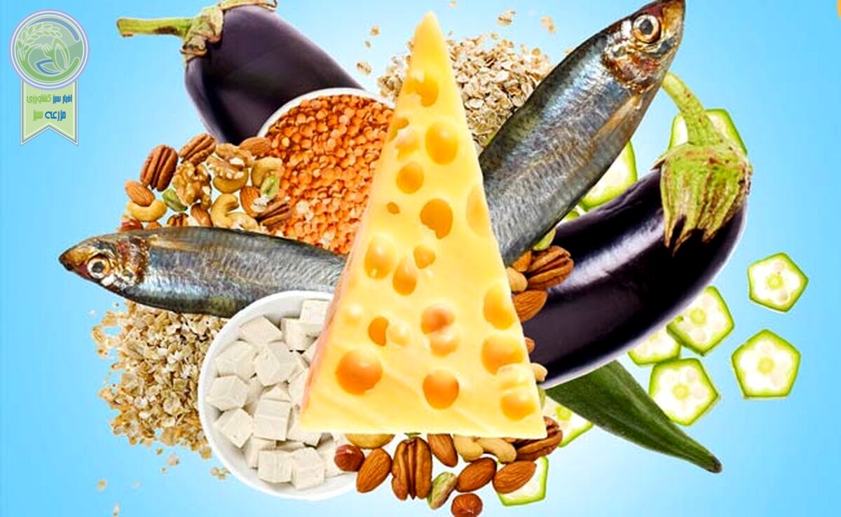 غذاهایی مفید اما با کلسترول بالا

