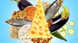 غذاهایی مفید اما با کلسترول بالا


