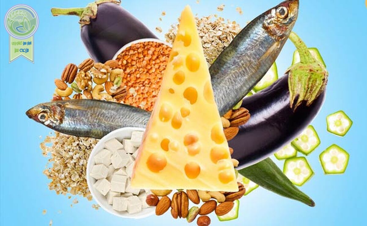 غذاهایی مفید اما با کلسترول بالا

