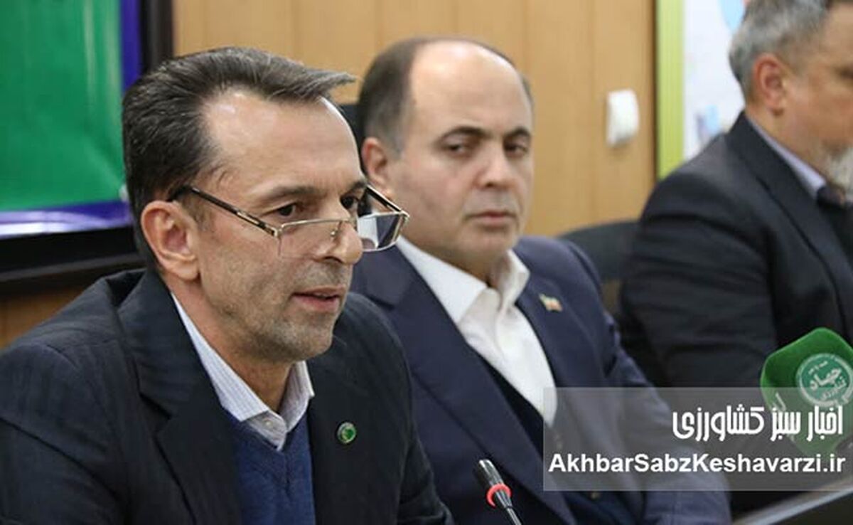 سازمان امور اراضی پیشتاز دولت الکترونیک شد/ جهش ۱۳ پله‌ای در ارزیابی ملی خدمات دیجیتال