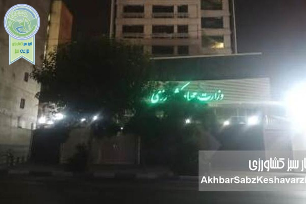 ​هیبت قانون کجاست وقتی اختلاس قد می‌کشد؟

