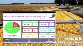 کلید خوردن تحقیق و تفحص مجلس از نهاده‌های دامی وزارت جهاد کشاورزی+ جزئیات